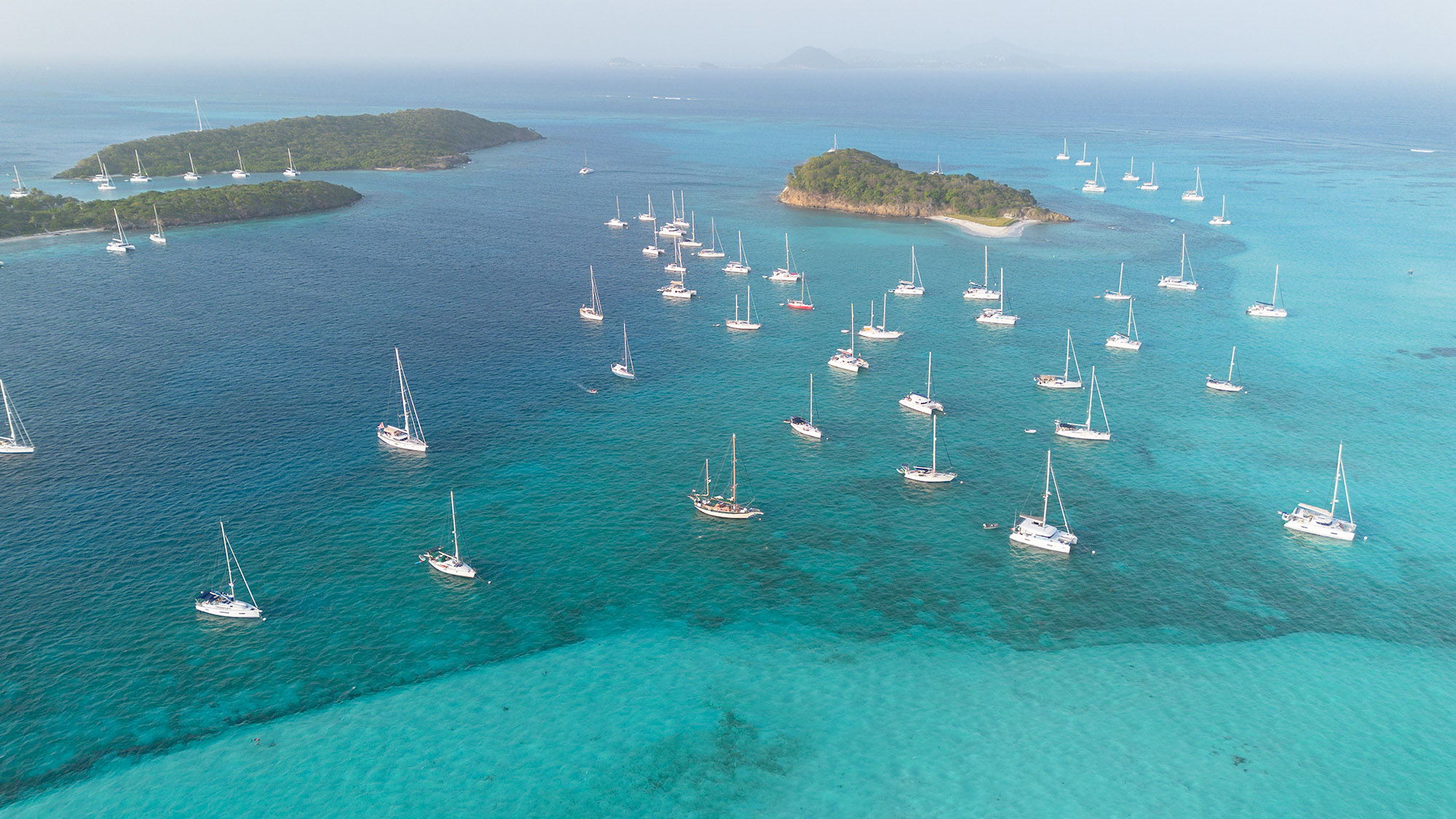 Firmenich Yachtversicherungen Ankerfeld